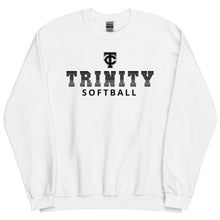 Load image into Gallery viewer, Softball Unisex Sweatshirt