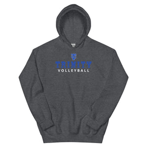 Volleyball Unisex Hoodie