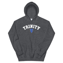 Load image into Gallery viewer, Trinity Unisex Hoodie